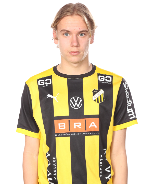 V. Svendsen