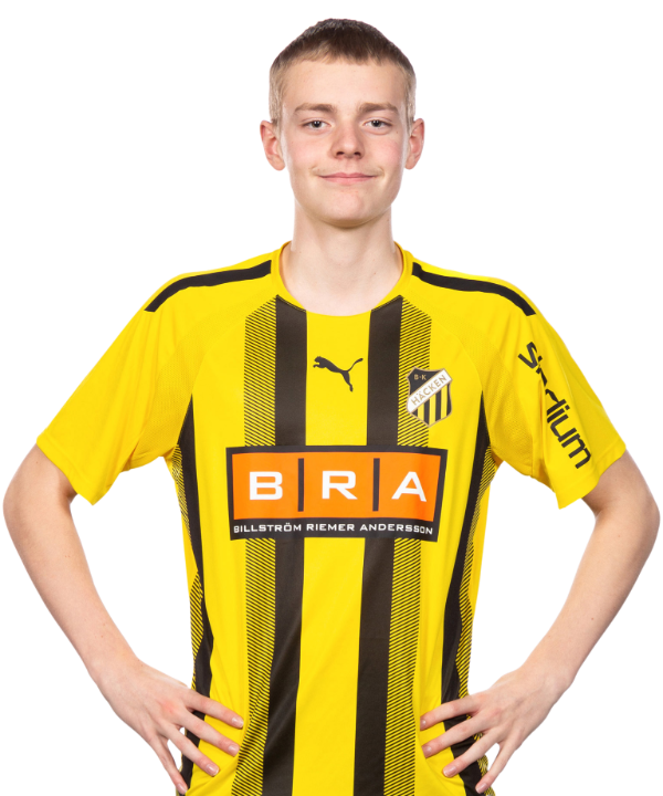 V. van der Laan