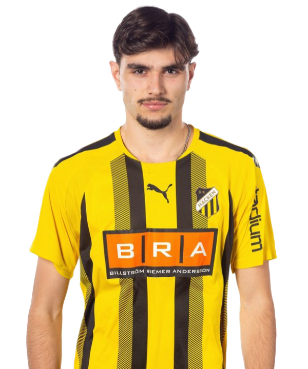 N. Mitrovic