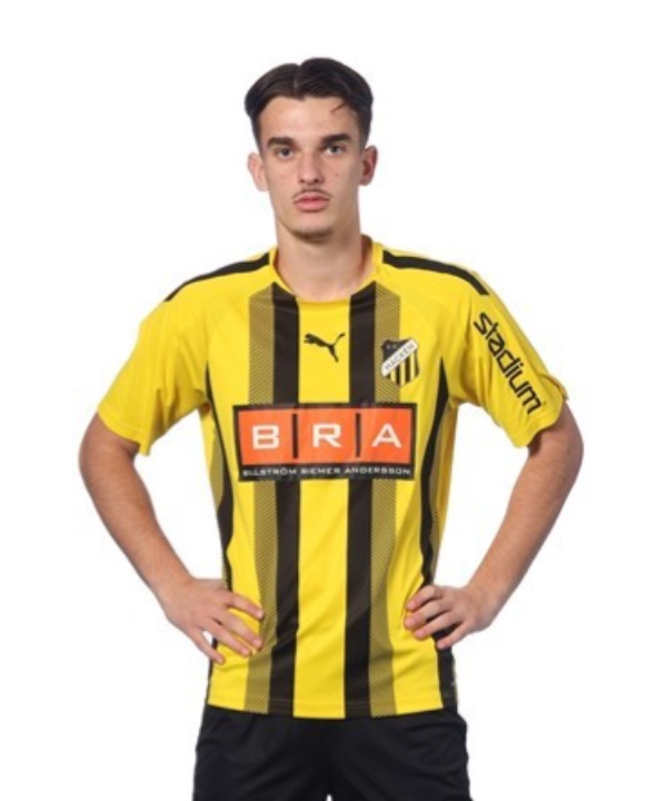 D. Gashi