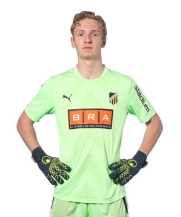 V. Alestig